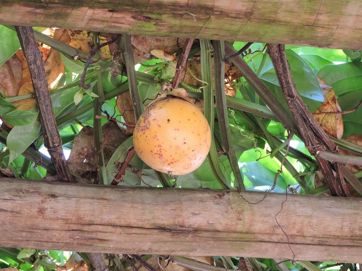 Pousada Casa Da Serra São Tomé das Letras Exteriör bild